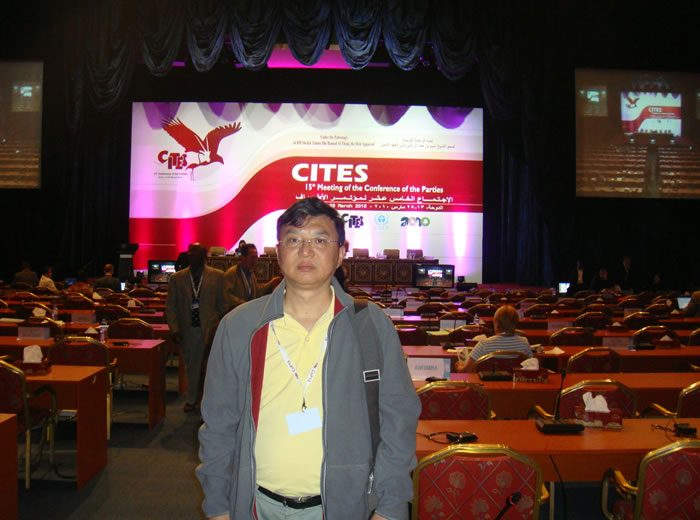 2010年曹晖博士代表中国参加第十五届CITES大会（卡塔尔）